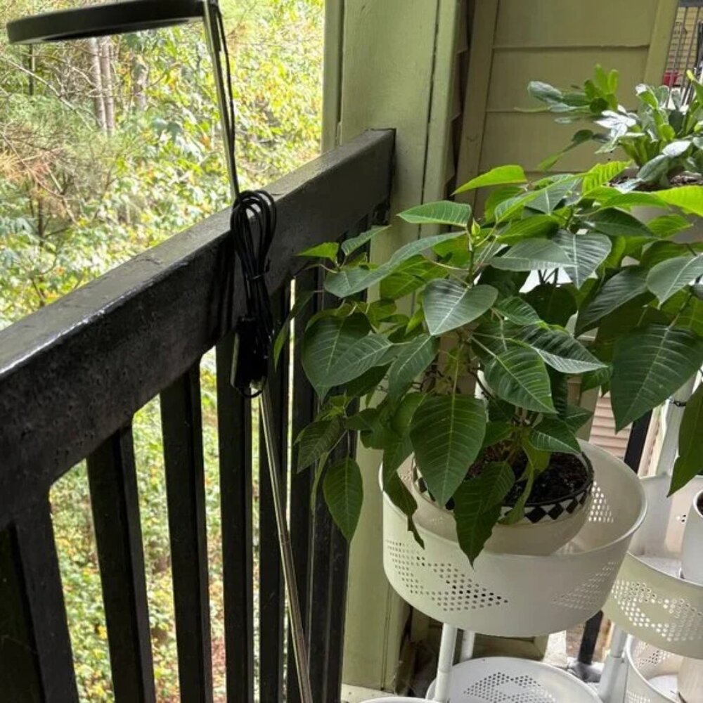 55-inch tall adjustable full-spectrum LED grow light for tall plants. - Picture 4 of 12